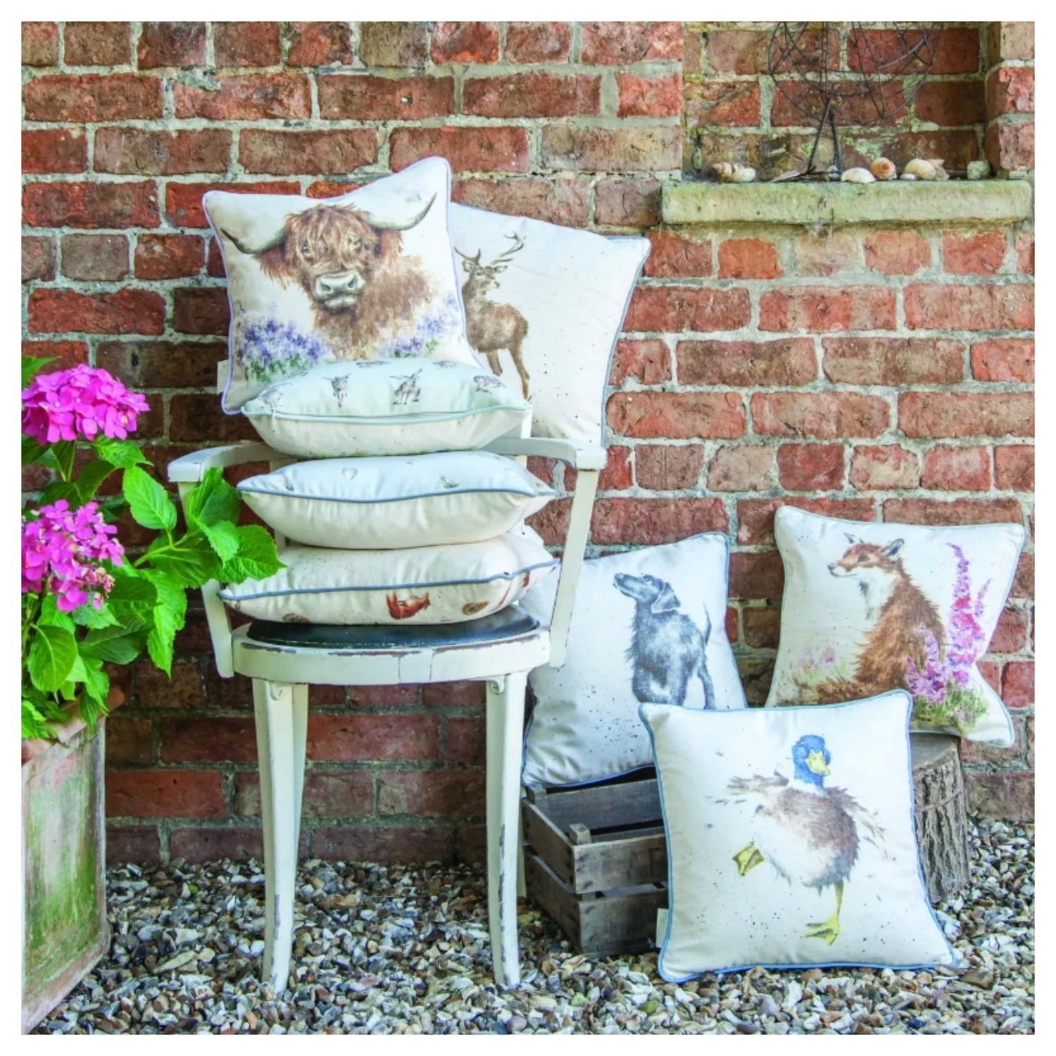 Wrendale Designs
