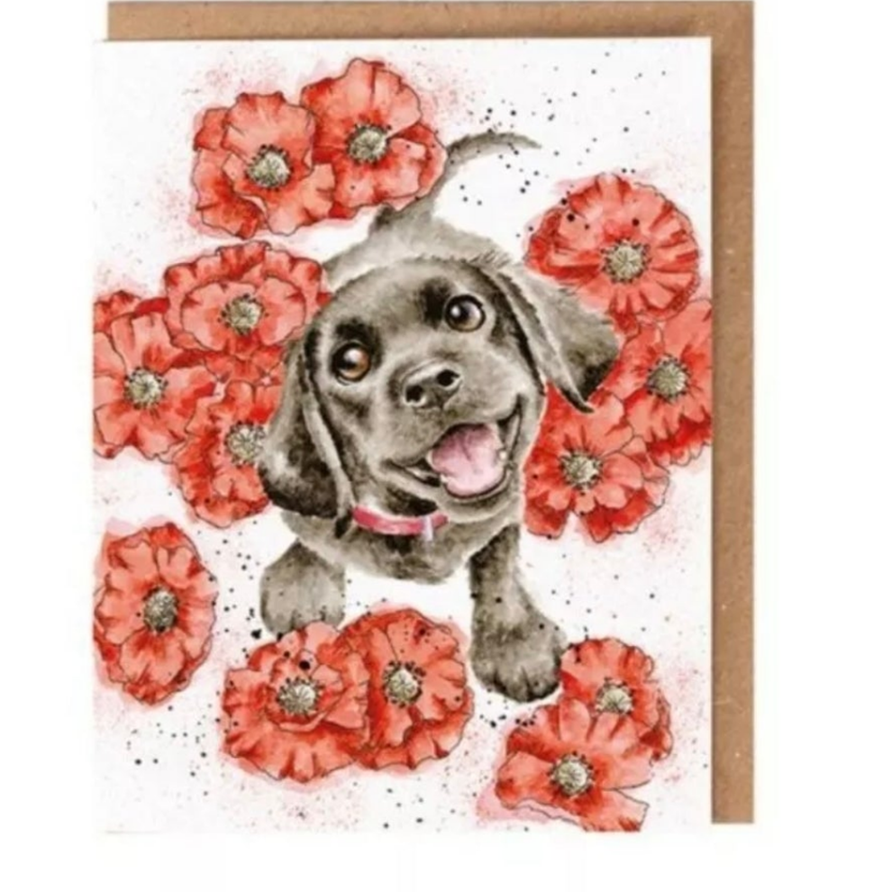 Wrendale Designs 'Poppy Love' Puppy Seeds Card, Greetings Card With Wild Seeds