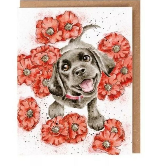 Wrendale Designs 'Poppy Love' Puppy Seeds Card, Greetings Card With Wild Seeds