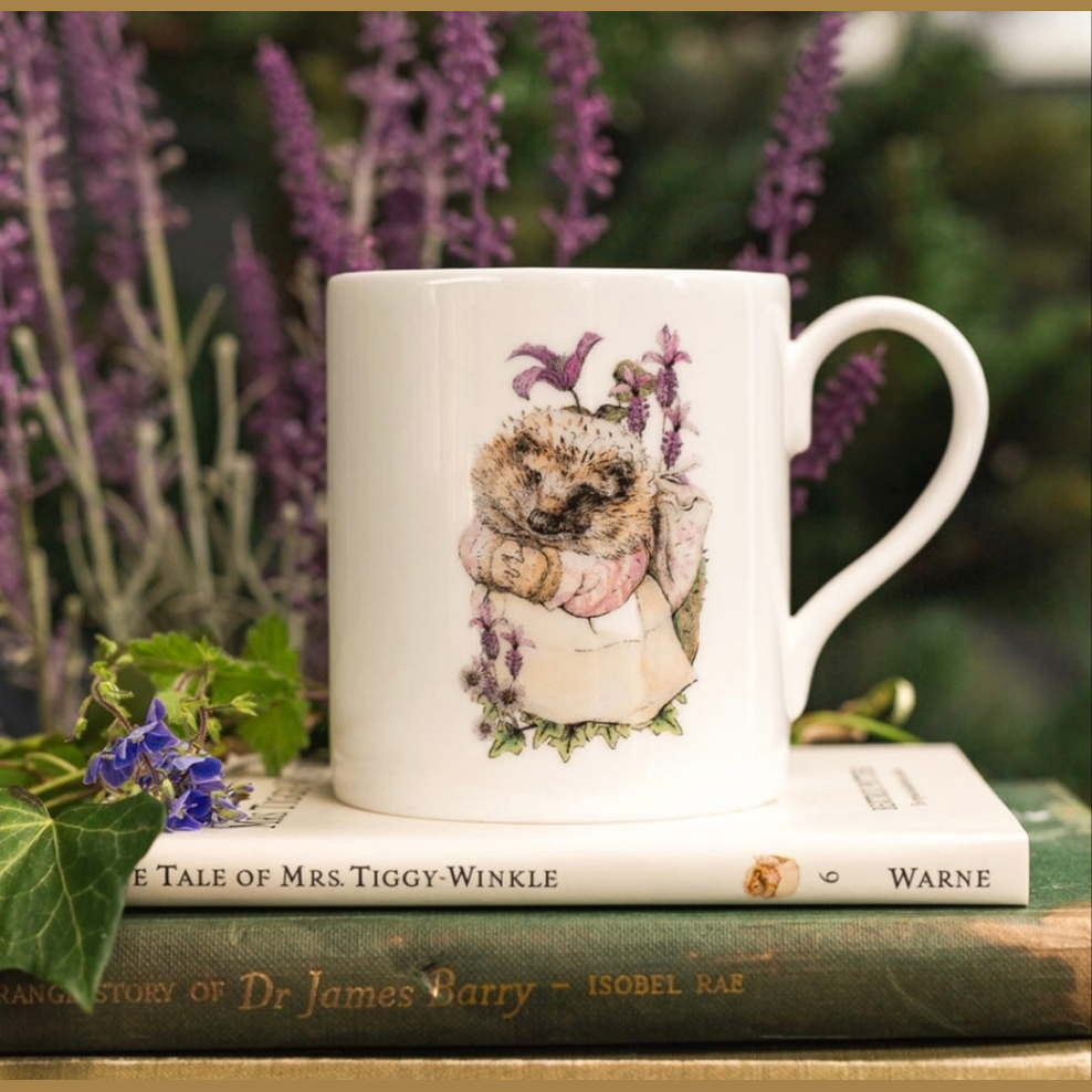 Mrs Tiggy-Winkle Small Mug in a Gift Box. Fine China. By Toasted Crumpet