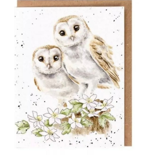Wrendale Designs 'Hooting for you' Seeds Card, Greetings Card With Wild Seeds