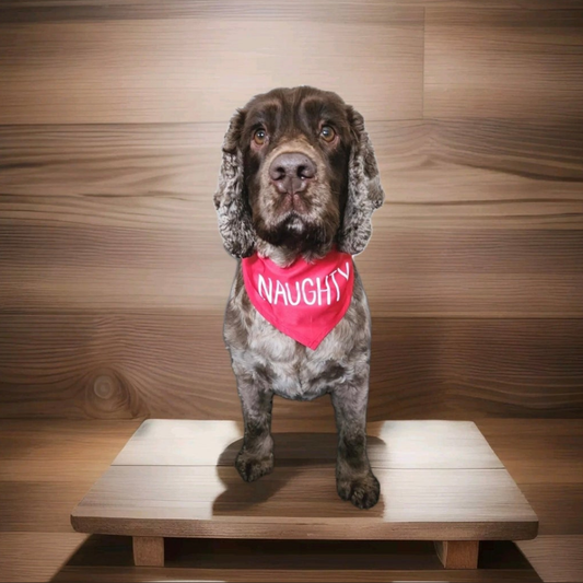 Fun 'Naughty' Dog Bandana, One Size