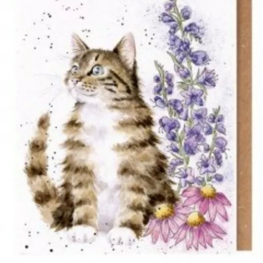 Wrendale Designs 'Whiskers & Wild Flowers' Cat Card, With Wild Seeds. Any Occasion