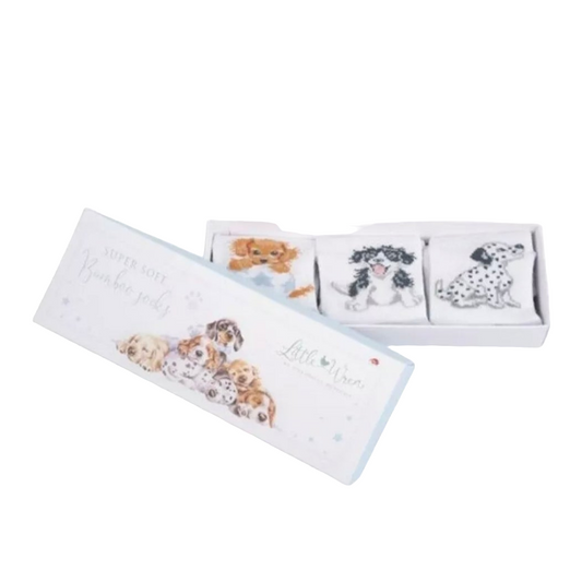 Wrendale Designs 'Little Paws' Dog Baby Socks, pack of 3. 6 - 12 months