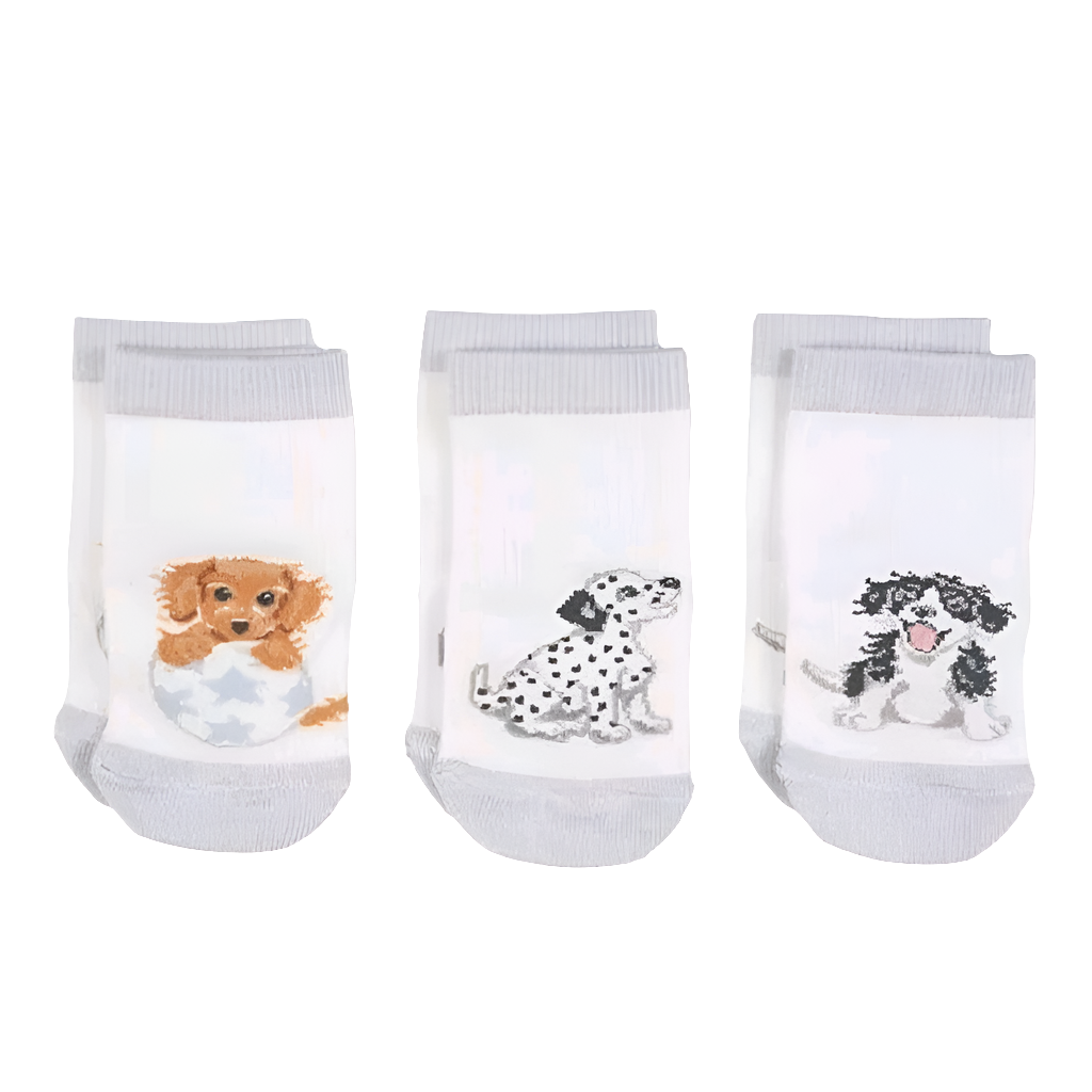 Wrendale Designs 'Little Paws' Dog Baby Socks, pack of 3. 6 - 12 months